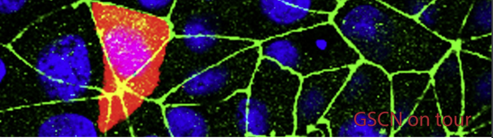 German Stem Cell Network Scientific Events