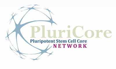 Pluripotent Stem Cell Score Network