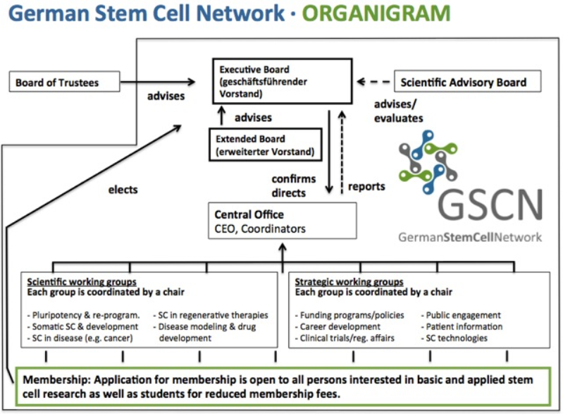 German Stem Cell Network Organigram